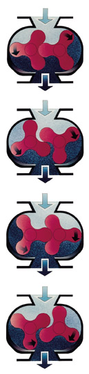 Rotary lobe blower rotating cycles